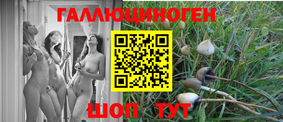 Псилоцибиновые грибы MAGIC MUSHROOMS Изобильный