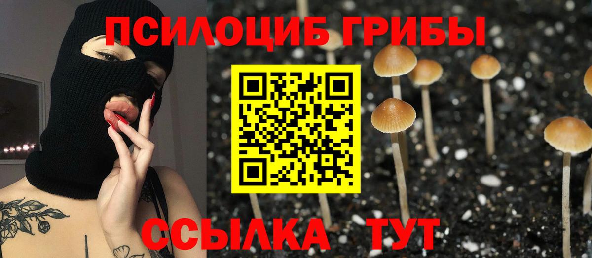 Изобильный  Псилоцибиновые грибы MAGIC MUSHROOMS  Псилоцибиновые грибы ЛСД  Вход с VPN 